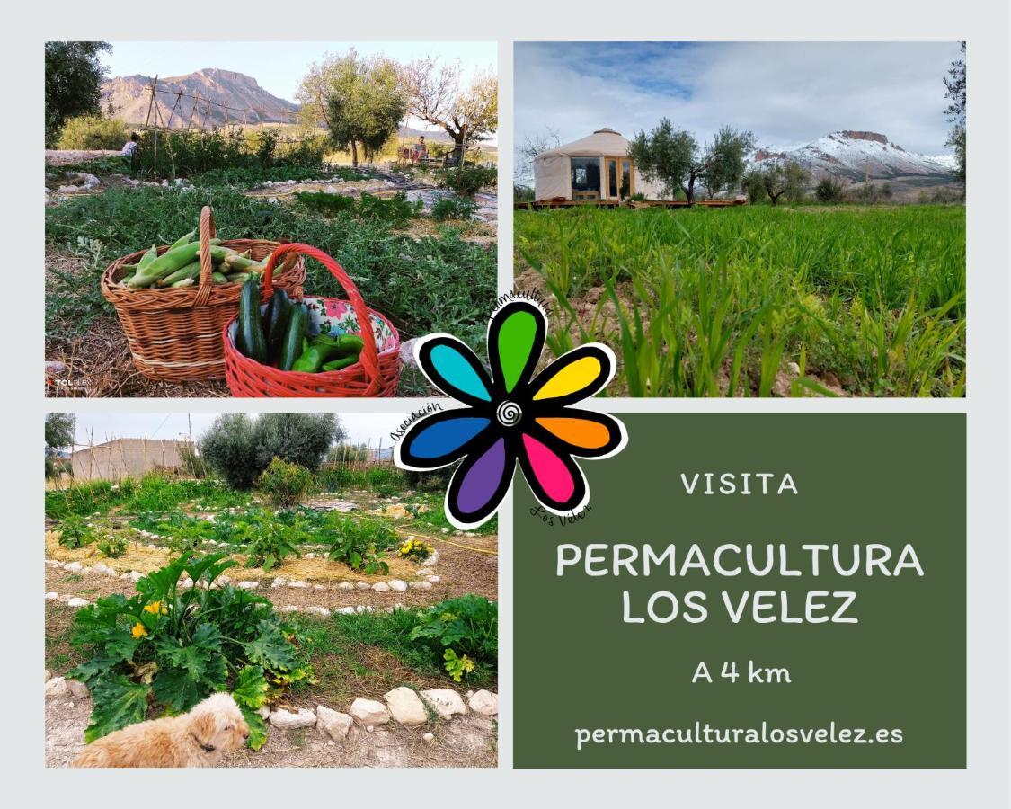 Vélez Blanco La Casa Viva. Alojamiento Responsable Y Sostenible. מראה חיצוני תמונה
